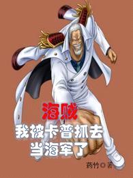 海贼:我被卡普抓去当海军了